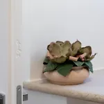 Bed & Breakfast Fonte D'olio Conero Relais Sirolo