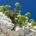 Fonte D'olio Conero Relais Bed & Breakfast