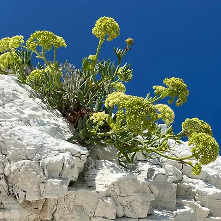 Fonte D'olio Conero Relais Oda ve Kahvaltı
